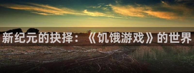 杏运电影免费观看