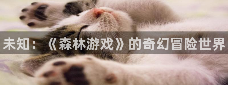 杏运杏运注册：未知：《森林游戏》的奇幻冒险世界