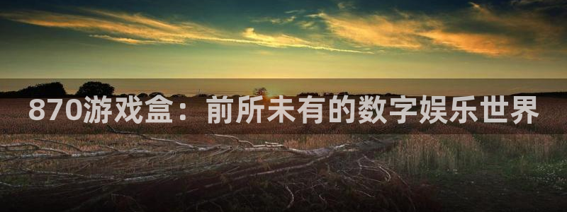 杏运娱乐注册流程：870游戏盒：前所未有的数字娱乐世界