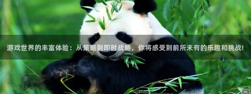 杏运体育