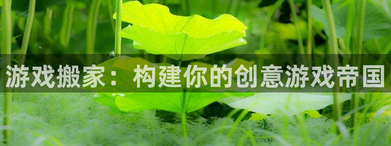 杏运娱乐注册资金多少