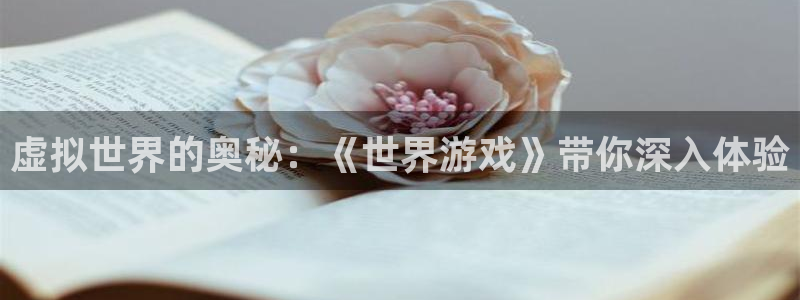 杏运：虚拟世界的奥秘：《世界游戏》带你深入体验