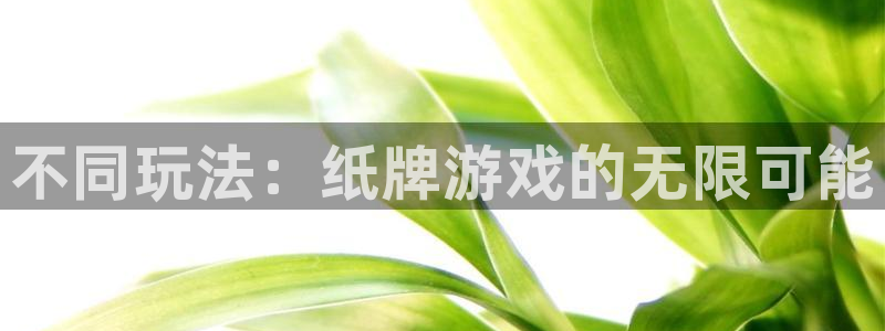 杏运娱乐注册资金多少：不同玩法：纸牌游戏的无限可能