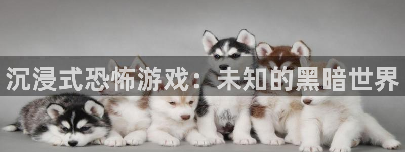 杏运注册平台：沉浸式恐怖游戏：未知的黑暗世界