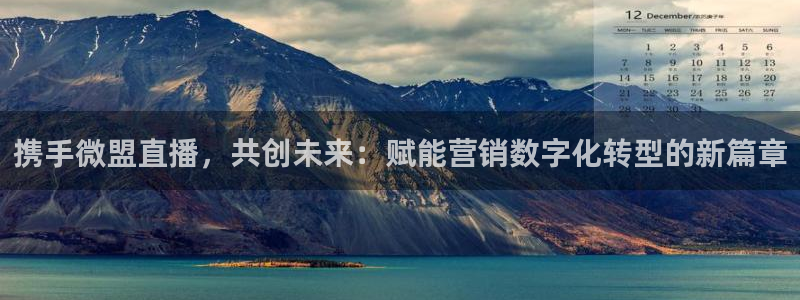 黑白体育：携手微盟直播，共创未来：赋能营销数字化转型的新篇章