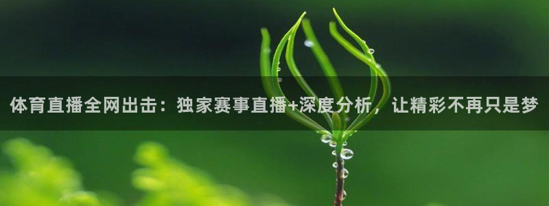 黑白直播黑白体育比赛直播：体育直播全网出击：独家赛事直播+深度分析，让精彩不再只是梦