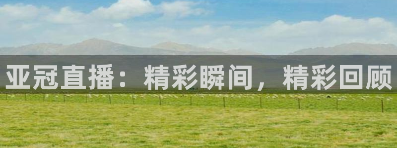 黑白篮球直播网：亚冠直播：精彩瞬间，精彩回顾