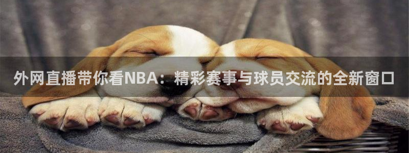 黑白直播体育nba直播下载：外网直播带你看NBA：精彩赛事与球员交流的全新窗口