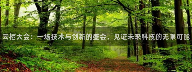 黑白体育app官网入口：云栖大会：一场技术与创新的盛会，见证未来科技的无限可能