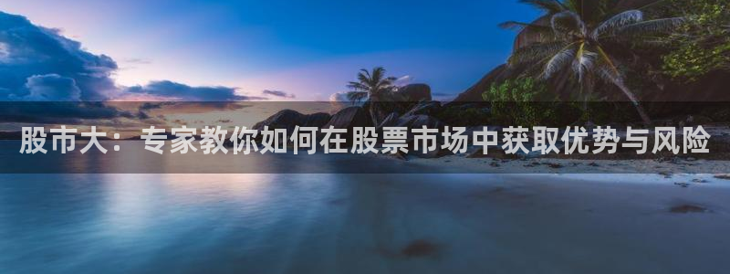 黑白直播体育nba直播在线观看高清：股市大：专家教你如何在股票市场中获取优势与风险