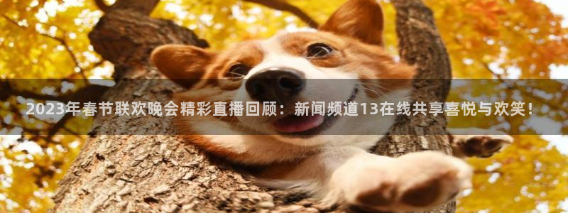 黑白体育nba：2023年春节联欢晚会精彩直播回顾：新闻频道13在线共享喜悦与欢笑！