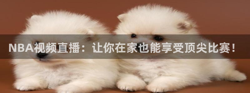 黑白直播免费体育直播：NBA视频直播：让你在家也能享受顶尖比赛！
