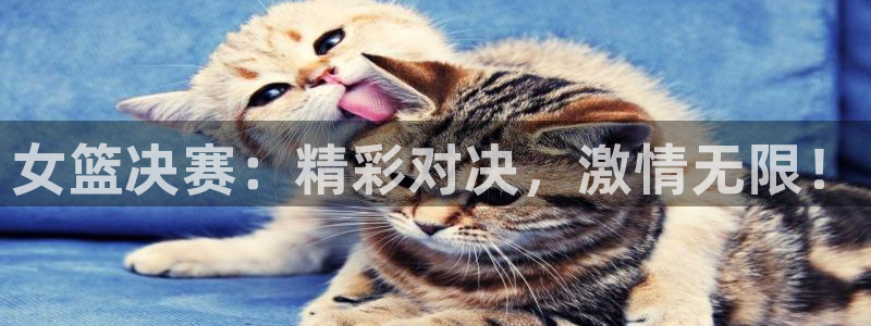 黑白直播nba在线观看：女篮决赛：精彩对决，激情无限！